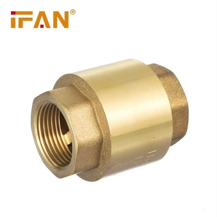 check valve
